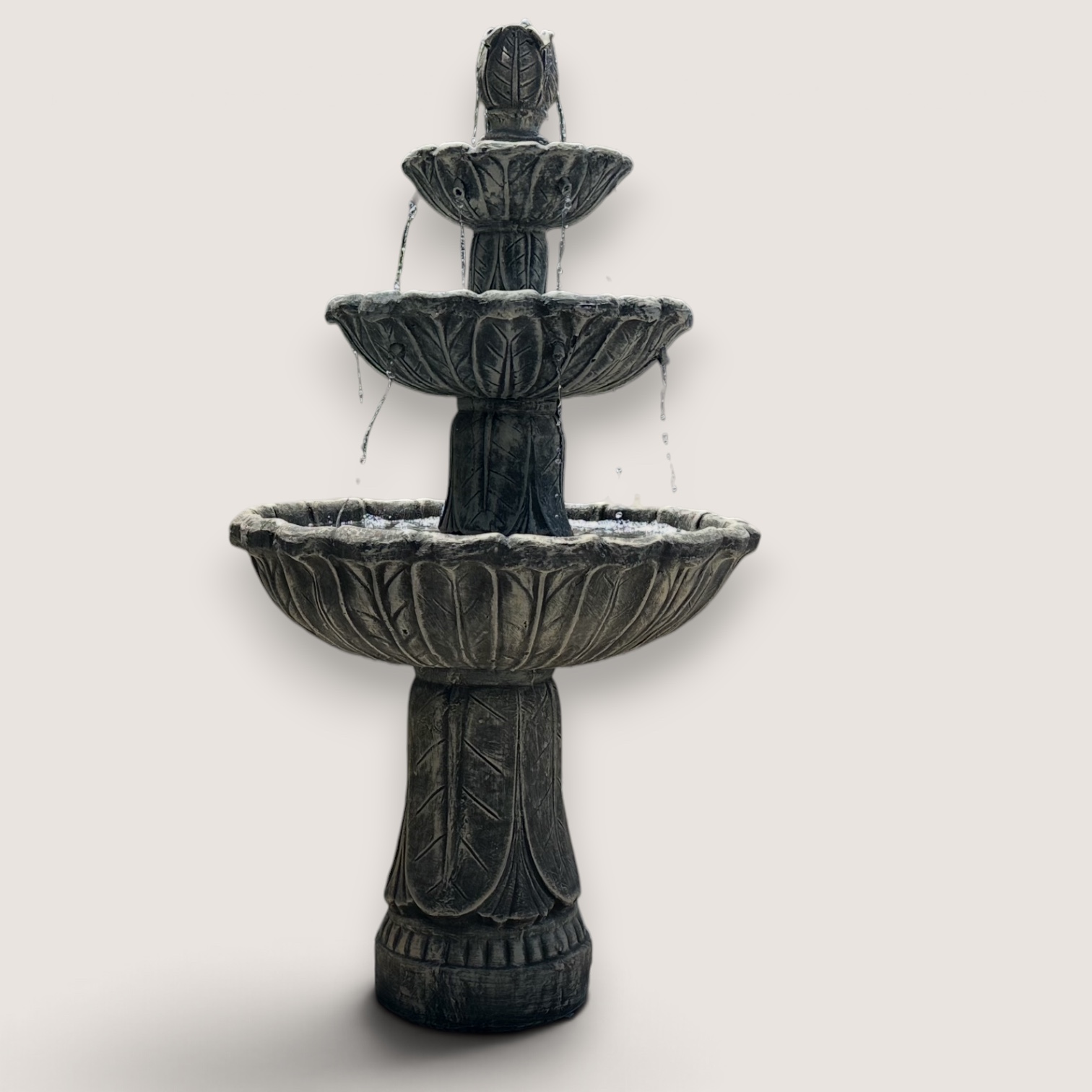 Camelia Fountain